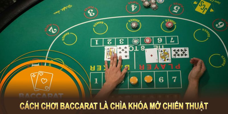 Cách chơi baccarat là chìa khóa mở ra hiểu biết sâu về chiến thuật